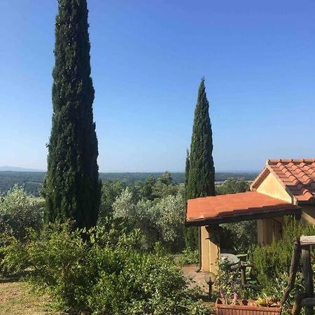 Casa Belvedere -Tranquillita Tra Bosco E Ulivi- Riparbella Exteriér fotografie