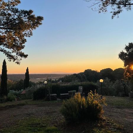 Casa Belvedere -Tranquillita Tra Bosco E Ulivi- Riparbella Exteriér fotografie