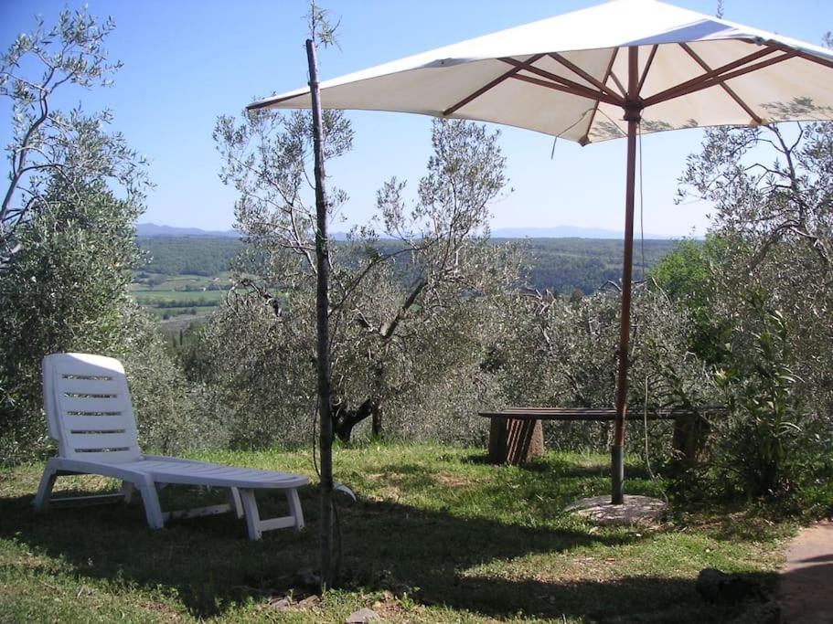 Casa Belvedere -Tranquillita Tra Bosco E Ulivi- Riparbella Exteriér fotografie