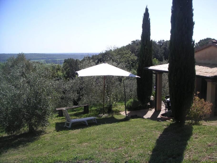 Casa Belvedere -Tranquillita Tra Bosco E Ulivi- Riparbella Exteriér fotografie
