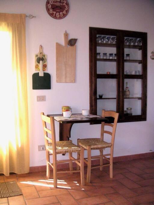 Casa Belvedere -Tranquillita Tra Bosco E Ulivi- Riparbella Exteriér fotografie