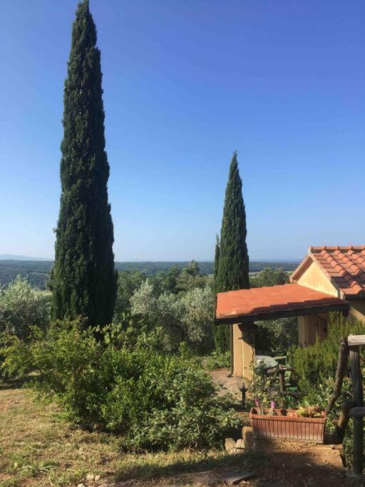 Casa Belvedere -Tranquillita Tra Bosco E Ulivi- Riparbella Exteriér fotografie
