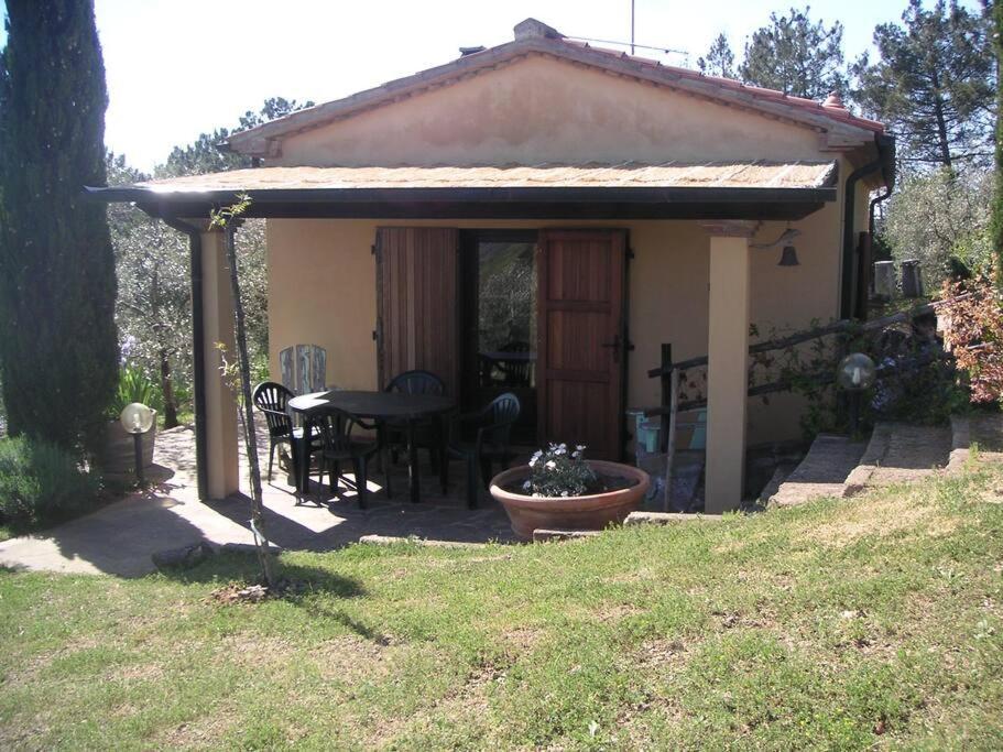 Casa Belvedere -Tranquillita Tra Bosco E Ulivi- Riparbella Exteriér fotografie