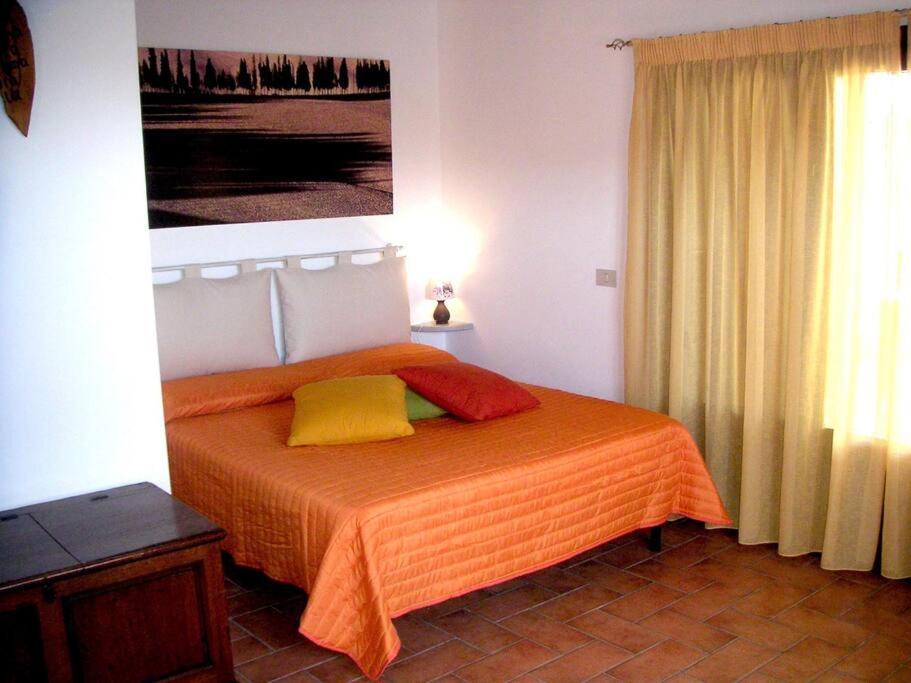 Casa Belvedere -Tranquillita Tra Bosco E Ulivi- Riparbella Exteriér fotografie