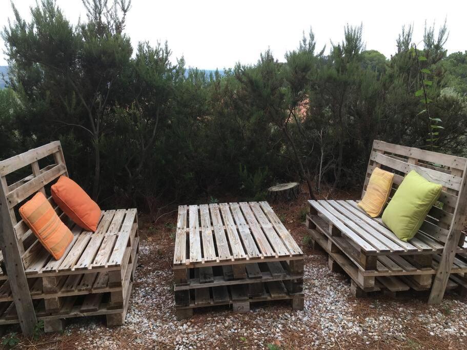 Casa Belvedere -Tranquillita Tra Bosco E Ulivi- Riparbella Exteriér fotografie