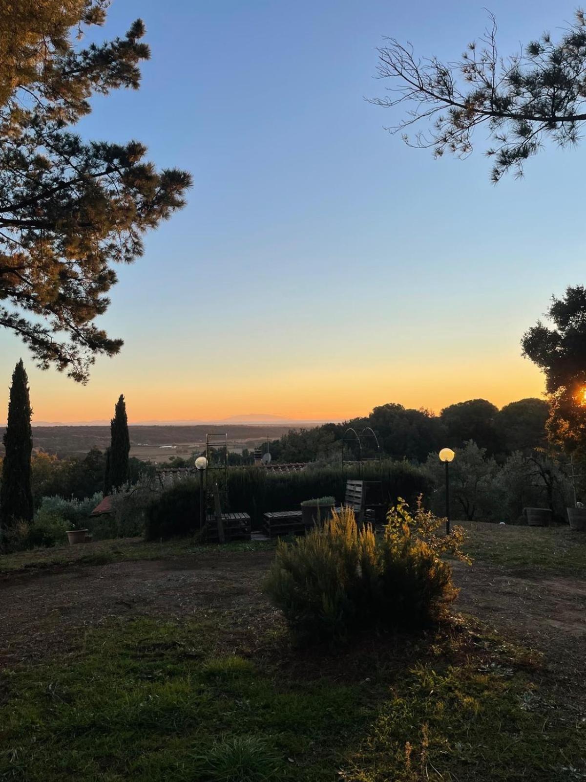 Casa Belvedere -Tranquillita Tra Bosco E Ulivi- Riparbella Exteriér fotografie