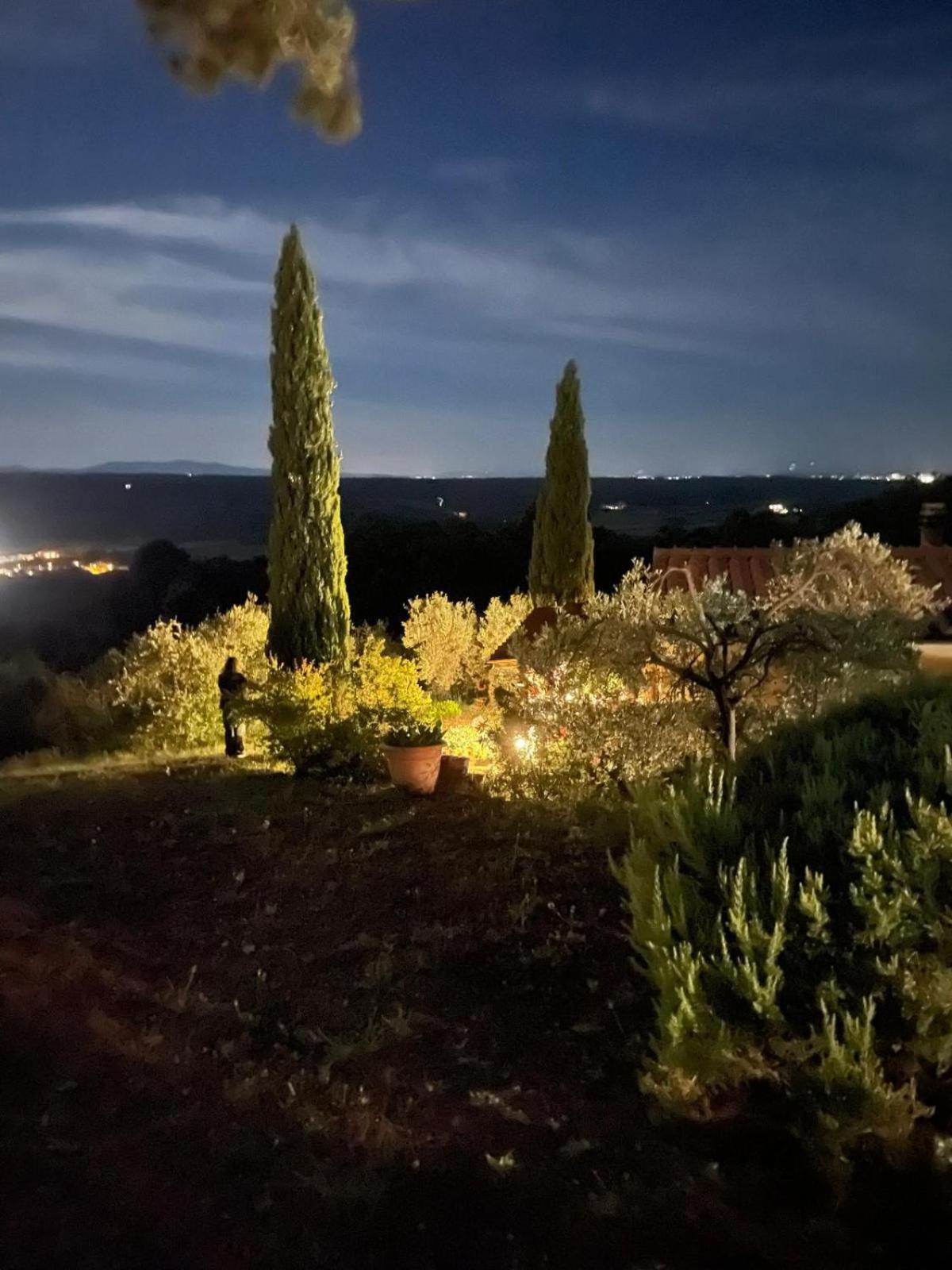 Casa Belvedere -Tranquillita Tra Bosco E Ulivi- Riparbella Exteriér fotografie